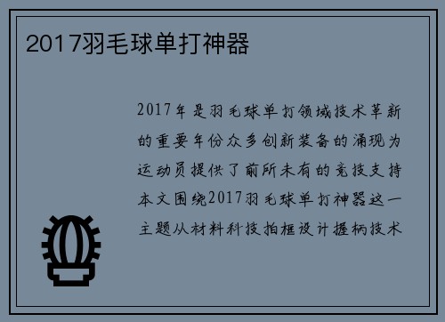 2017羽毛球单打神器